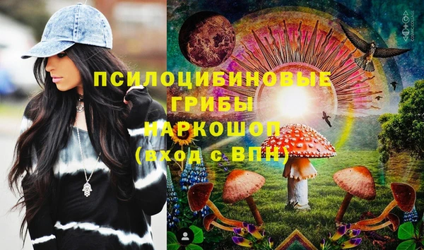 герыч Белая Холуница