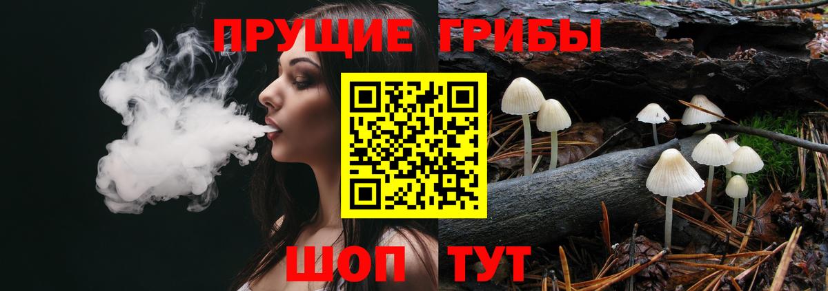 Псилоцибиновые грибы GOLDEN TEACHER Дивногорск