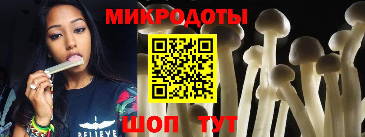 Галлюциногенные грибы ЛСД Дивногорск