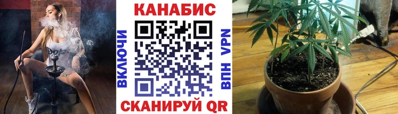 Бошки марихуана планчик  как найти закладки  Дивногорск 