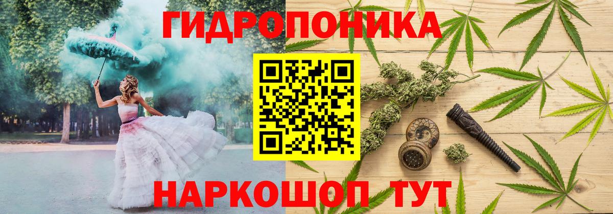 Шишки марихуана тримм  Конопля Bruce Banner  Дивногорск  Шишки марихуана план  Вход с VPN 