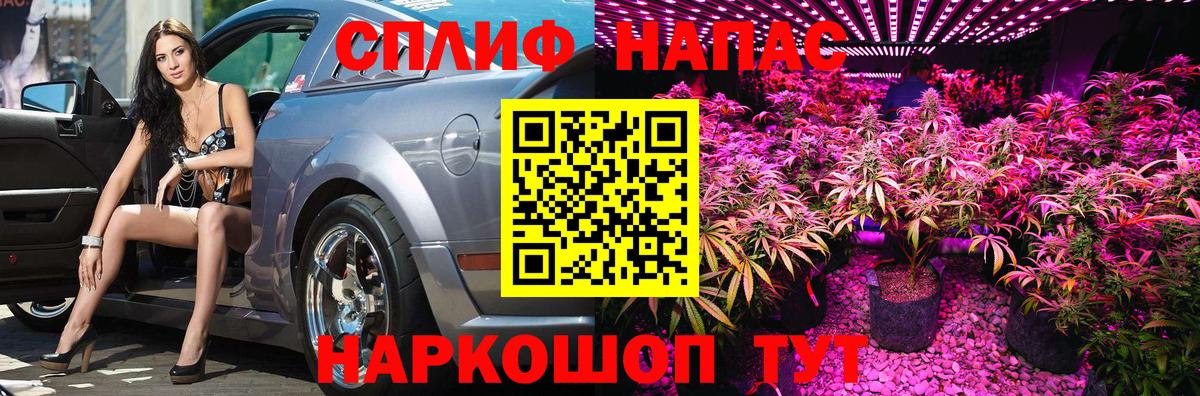 Бошки Шишки тримм Дивногорск